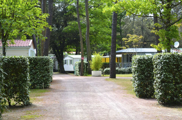 Camping Longeville-sur-Mer
