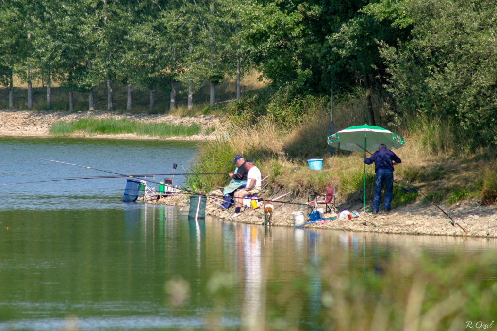 Piège à Poisson Pliable - Idéal Pour La Pêche En étang, Rivière Et Camping - Portable Et Résistant