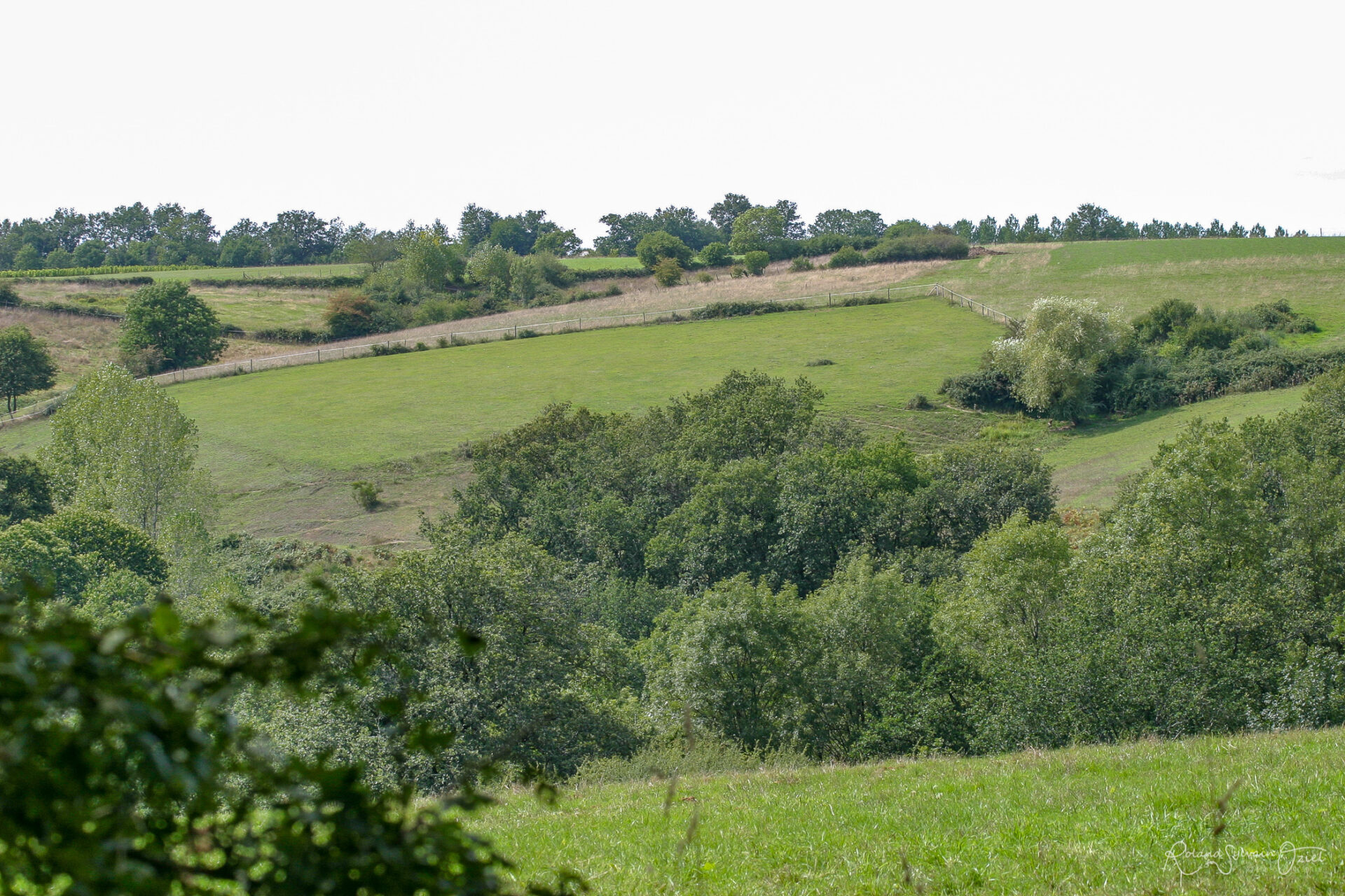 Le charme du bocage : opter pour un camping nature en Vendée