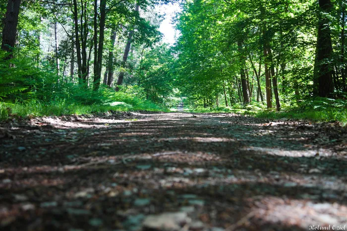 Télétravailler au vert : ces lieux en Vendée qui allient nature et confort