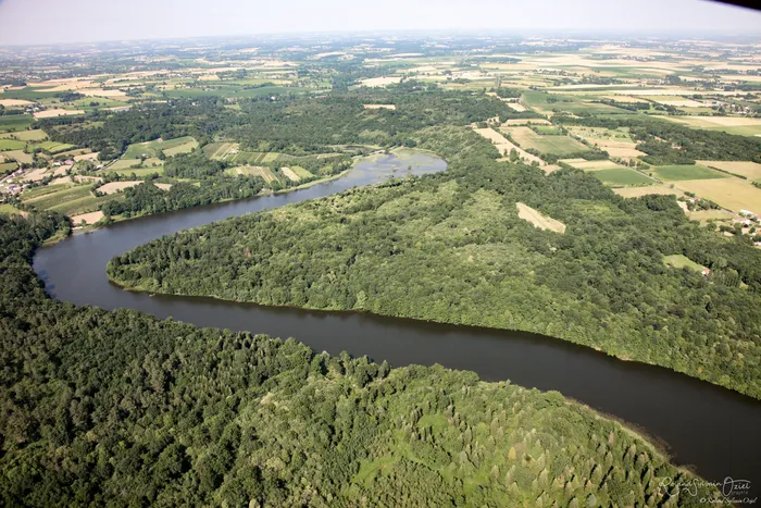 Forêt et rivière de mervent vue du ciel
