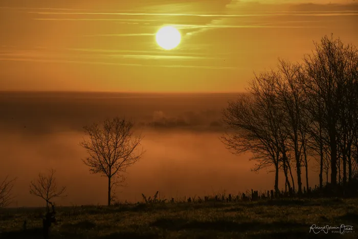La campagne vendéeenne sous un beau lever de soleil et la brume des champs