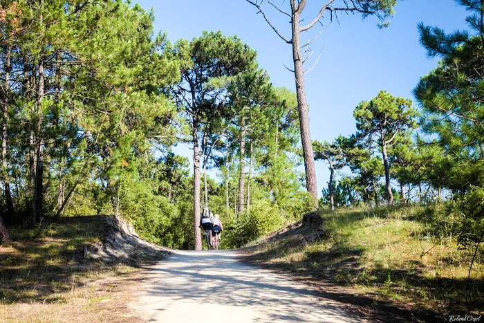Une piste cyclable arpenté par deux vélos entre la mer et la forêt de pins et de chêne à Saint Jean de monts