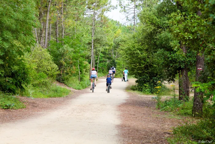 Balade en vélo dans la foret de in de Saint Jean de Monts