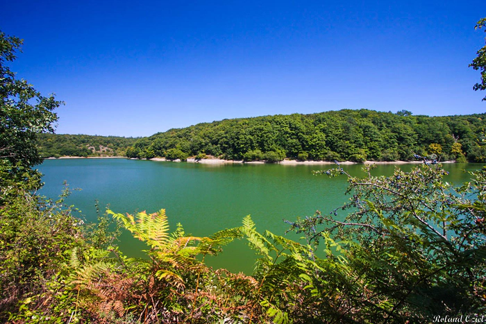 Etang au milieu d'une forêt en Vendée