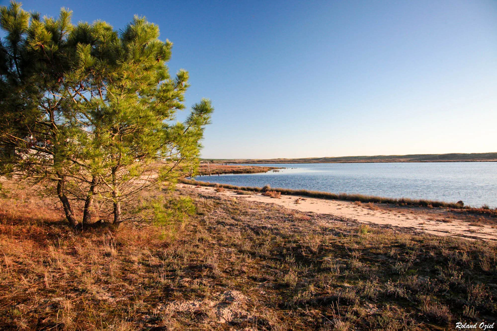 Séjour authentique en Vendée : petit camping nature en Vendée