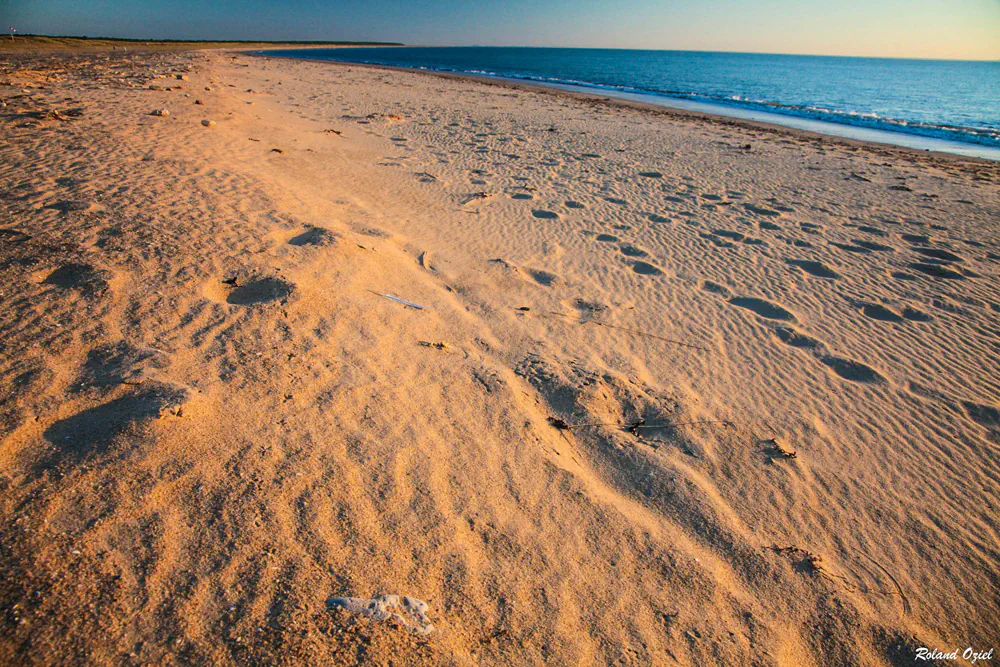 Séjour authentique en Vendée : petit camping nature en Vendée à la Tranche sur Mer